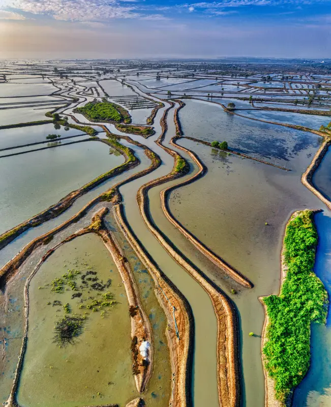 Topografia para projetos de irrigação