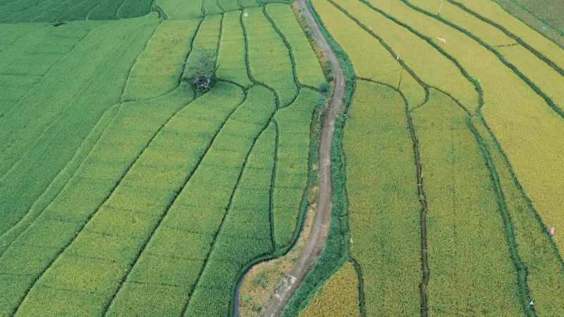 Empresa agrimensura projetos irrigação